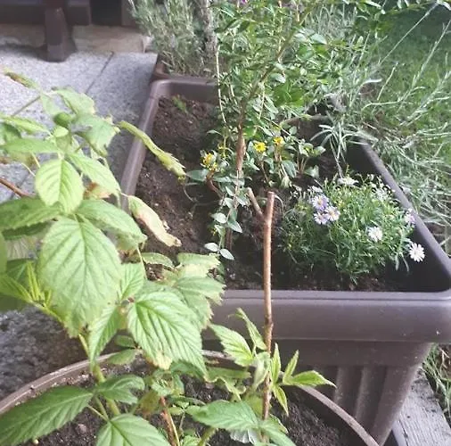 Alojamento de Turismo Selvagem Kresnicka Catez ob Savi